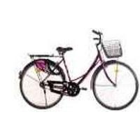 BSA Ladybird Dreamz 26 Picture