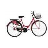 bsa_ladybird-shine-24