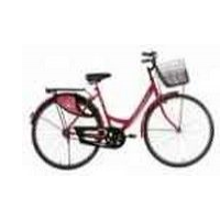 bsa_ladybird-shine-26