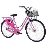 bsa_ladybird-splash-26