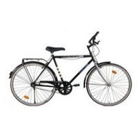 BSA Photon EX with Bar End 2013 Picture