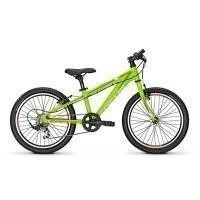 Focus Raven Rookie KN 20 Picture