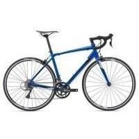 Giant Contend 2 Picture