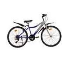 Hercules Ion Plus Picture