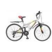 Hero Octane Astra Picture