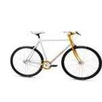 Mongoose Maurice Picture