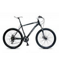 Raleigh At-10 2014  Picture