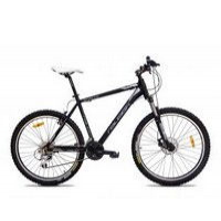 Raleigh At-20 2014  Picture