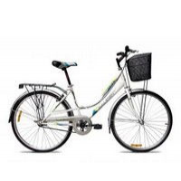 Raleigh City Life 2014  Picture