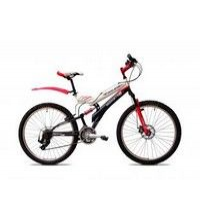 Raleigh Monster 26 2014  Picture