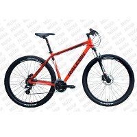 Raleigh Roxio 1.0 - 29Er Picture