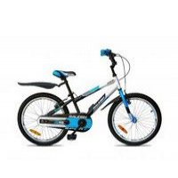 Raleigh Sport 20 2014  Picture