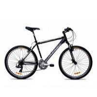 Raleigh Terrain-30 2014  Picture