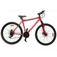 Schnell Chafer D 2013  Picture