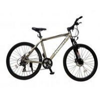 Schnell Coupe 3.0 2013  Picture