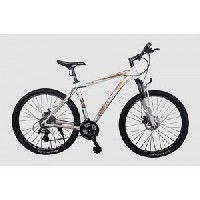 Schnell Flash 2.0 Picture