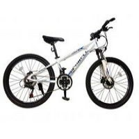 Schnell Flash 24 2013  Picture