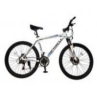 Schnell Flash 26 2013  Picture