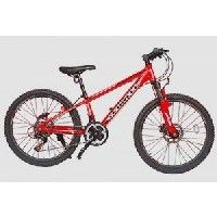 Schnell Flash Jr Picture