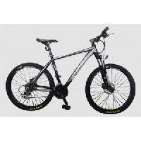 Schnell Jaguar 2.0 Picture