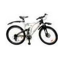 Suncross Ciclosport Picture