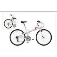 tern_joe-c21