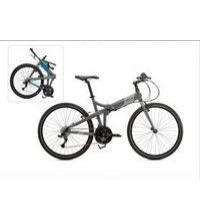 tern_joe-d24