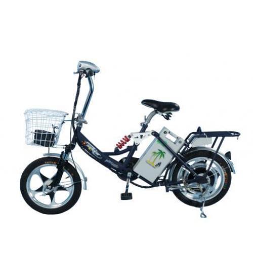 Ampere_Ampere Angel_1