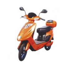 Sree Aswini Motors India Pvt L E Go Sport