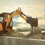 JCB 30PLUS Picture -2