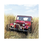 Mahindra Logo