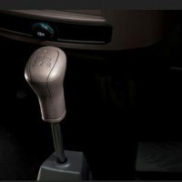 Maxximo Cng Interior Gear