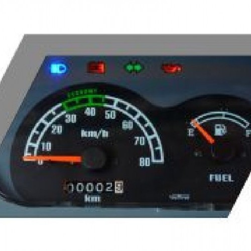 Atul Auto Gemini Lpg Image 1