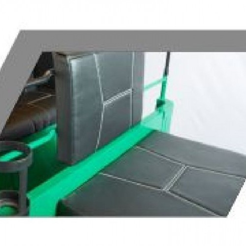 Atul Auto Gemini Lpg Image 2