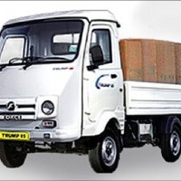 Force Trump 15 Image 2