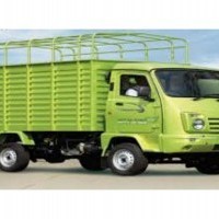 Force Trump 40 Cng Hi Deck Image 3