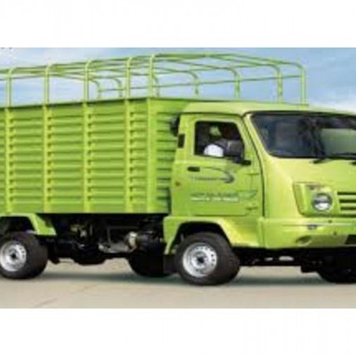 Force Trump 40 Cng Hi Deck Image 3