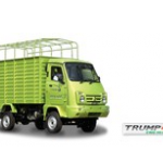 Trump 40 CNG High Side Deck