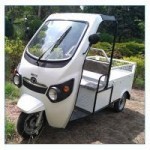 Kinetic Green Kinetic Safar Shakti 1