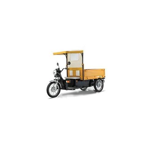 Lohia Auto Narain Cargo 1