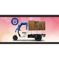 Mahindra Treo Zor Electric 13