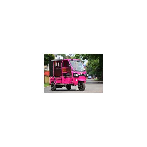 Vidhyut E Autoa Passenger P1 1