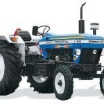 Escorts 445 Plus Picture -0