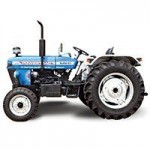 Escorts Euro 37 Picture -0