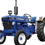 Escorts XP41 Champion Picture -2