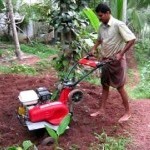 Kamco Barbieri Garden Tiller Picture -0