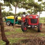 Mahindra 245 DI Orchard Picture -3