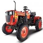 Mahindra 245 DI Orchard Picture -7