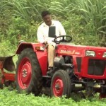 Mahindra 245 DI Orchard Picture -4