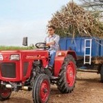 महिन्द्रा 245 डीई आरचर्ड Picture -3